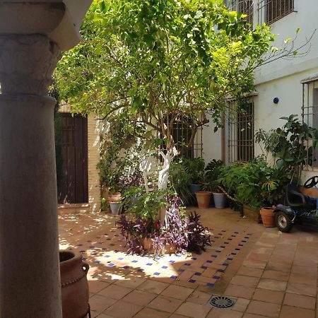 Casa Patio Los Suenos De Daury II Córdoba Eksteriør billede