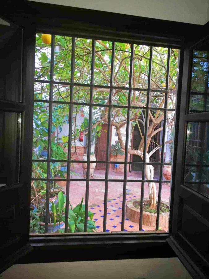 Casa Patio Los Suenos De Daury II Córdoba Eksteriør billede